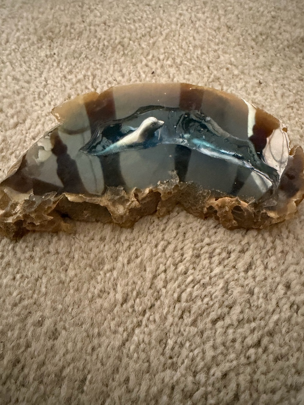 Polished Agate Slice with Natural Brown and Blue Bands sterling silver